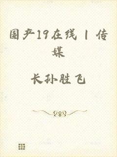 国产19在线 | 传媒